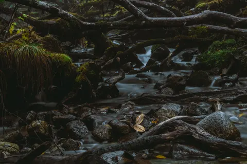 Forest Stream 4K Wallpaper · nature · 3840×2560