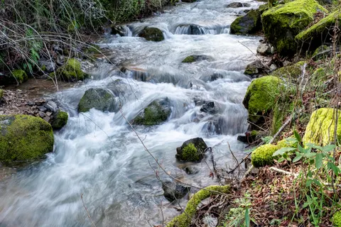 Forest Stream 4K Wallpaper · nature · 3840×2560