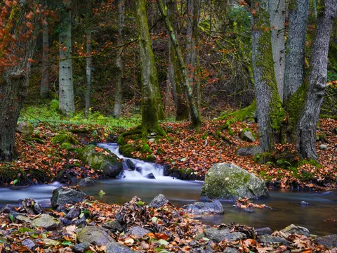 Forest Stream 4K Wallpaper · nature · 3840×2880