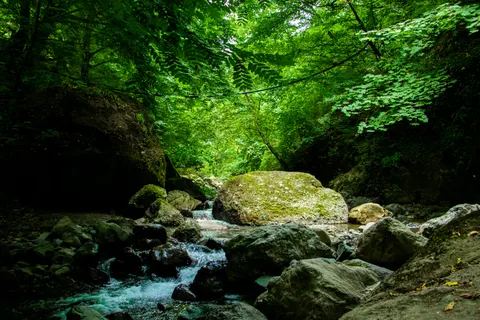 자연 4K 배경화면 · nature · 3840×2560