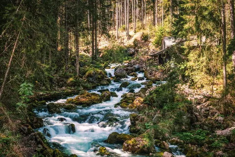Forest Stream 4K Wallpaper · nature · 3840×2563