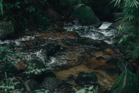 Forest Stream 4K Wallpaper · nature · 3840×2560