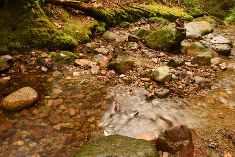 Forest Stream 4K Wallpaper · nature · 3840×2563