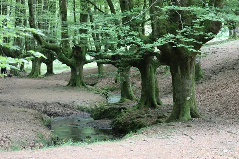 خلفية طبيعة بدقة 4K · nature · 3840×2560