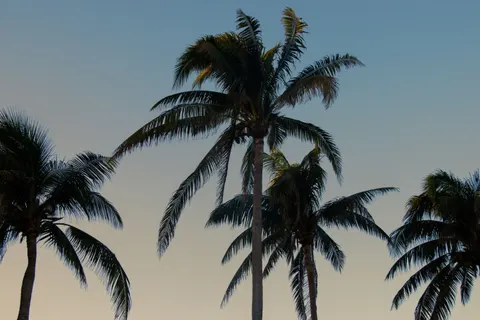 Fond d'écran Nature 4K · nature · 3840×2560