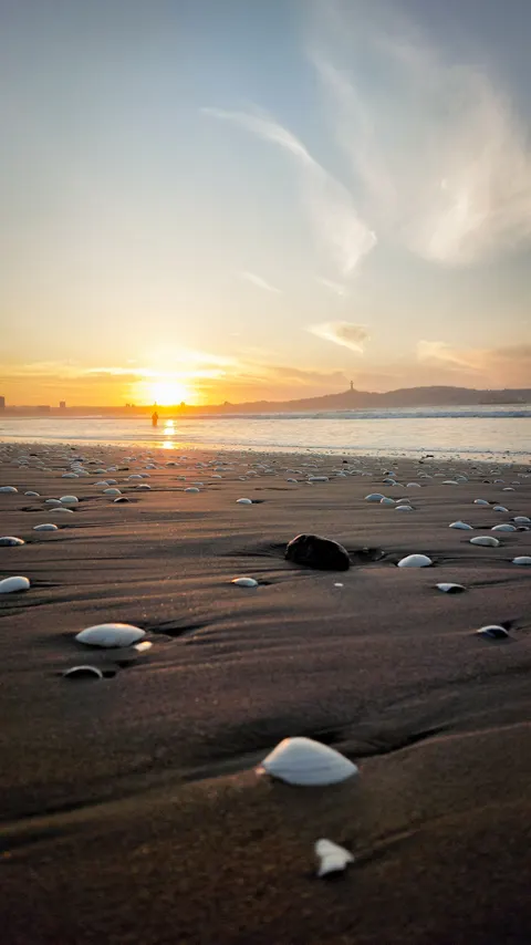 海灘氛圍 手機桌布 · aesthetic · 1440×2559