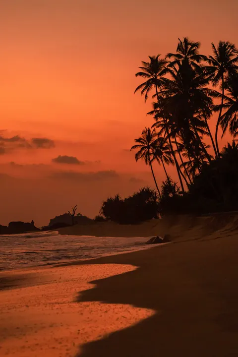 Fond d'écran mobile Ambiance Plage · aesthetic · 1440×2160