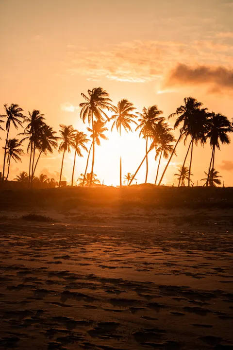 Beach Mood Phone Wallpaper · aesthetic · 1440×2160