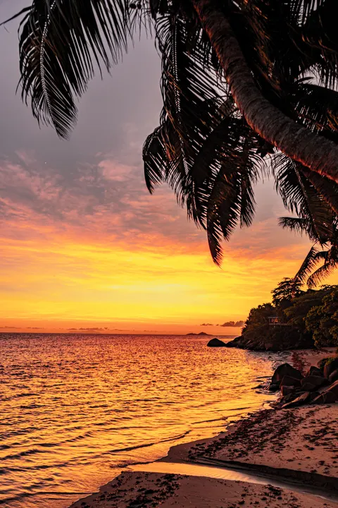 Beach Mood Phone Wallpaper · aesthetic · 1440×2160