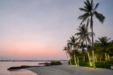 Palm Beach Sunset 4K Wallpaper · nature · 3840×2560