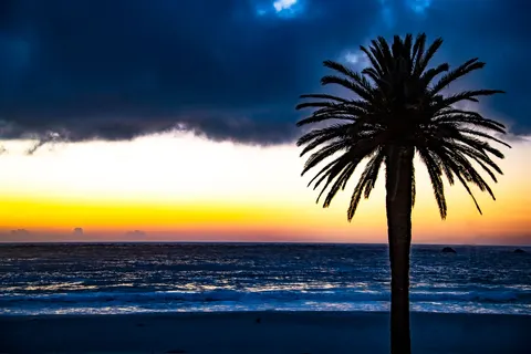 Palm Beach Sunset 4K Wallpaper · nature · 3840×2560