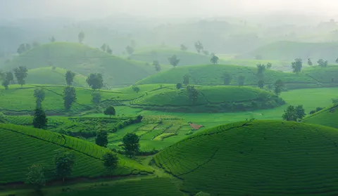 خلفية تلال خضراء بدقة 4K · nature · 3840×2237