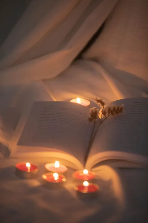 Ruhiger Abend Handy-Hintergrundbild · aesthetic · 1440×2160