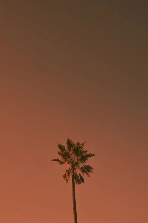 Estetik Kalem Wallpaper HP · aesthetic · 1440×2160