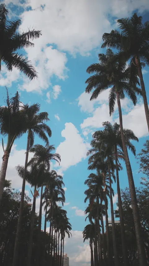 حال‌وهوای زیباشناسانه والپیپر موبایل · aesthetic · 1440×2564