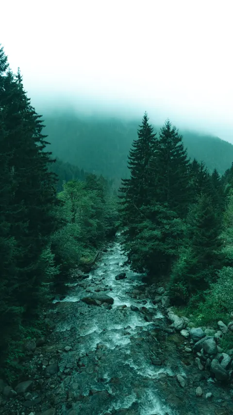 Estetik Kalem Wallpaper HP · aesthetic · 1440×2560