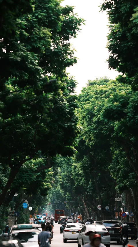 حال‌وهوای زیباشناسانه والپیپر موبایل · aesthetic · 1440×2562
