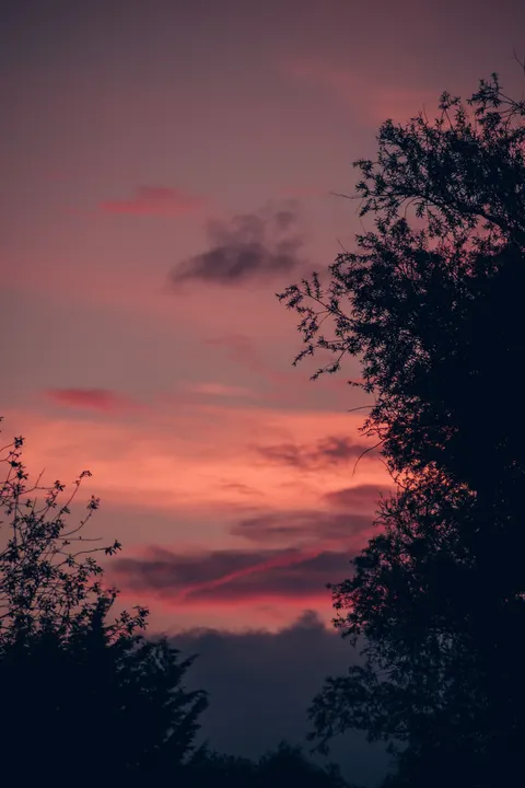 Aesthetic Mood Phone Wallpaper · aesthetic · 1440×2160