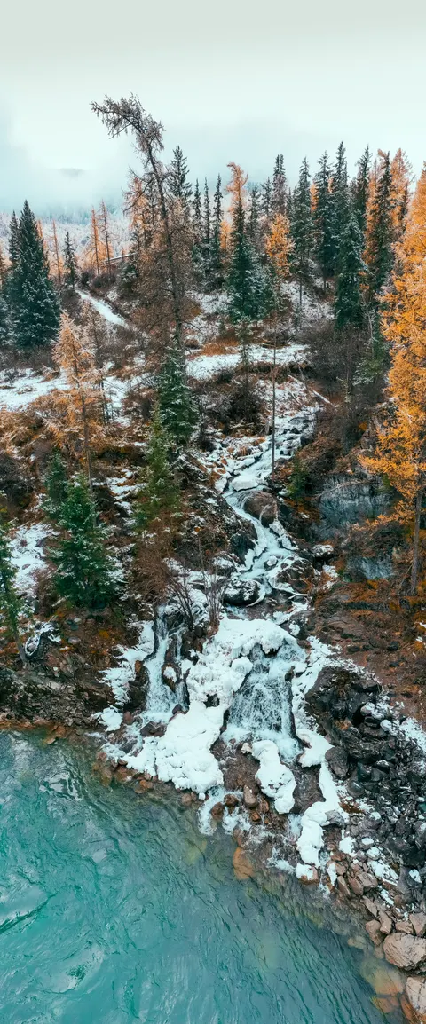 Estetik Kalem Wallpaper HP · aesthetic · 1440×3462