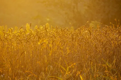 خلفية طبيعة بدقة 4K · nature · 3840×2560