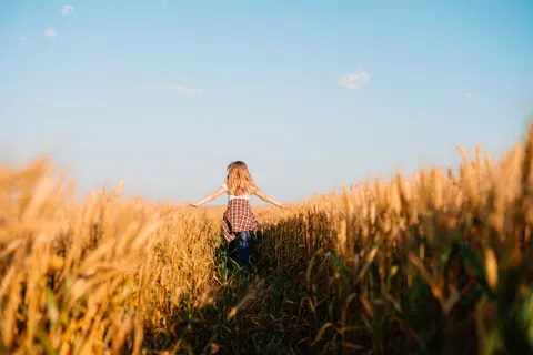 Wheat Field 4K Wallpaper · nature · 3840×2560