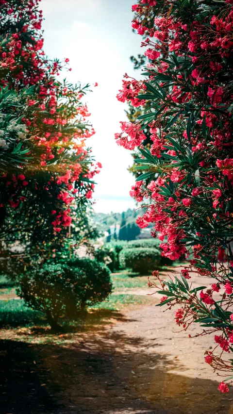 Aesthetic Mood Phone Wallpaper · aesthetic · 1440×2560