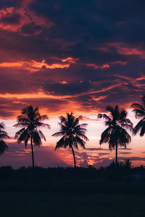 Aesthetic Mood Phone Wallpaper · aesthetic · 1440×2160