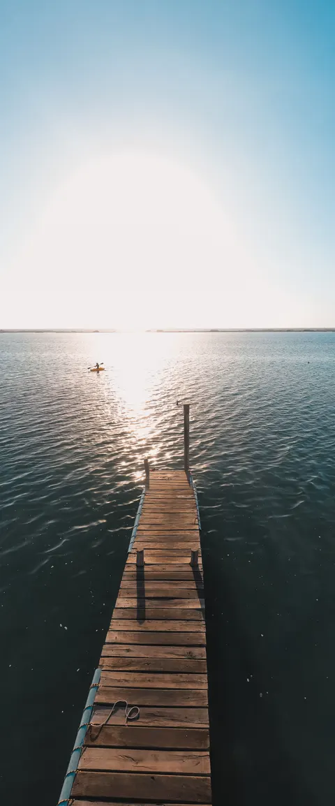 Aesthetic Mood Phone Wallpaper · aesthetic · 1440×3462