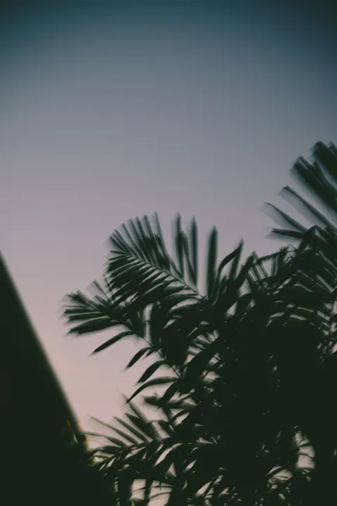 Aesthetic Mood Phone Wallpaper · aesthetic · 1440×2160
