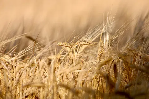 Natur 4K Hintergrundbild · nature · 3840×2560
