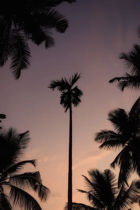 Aesthetic Mood Phone Wallpaper · aesthetic · 1440×2160
