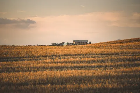 Wheat Field 4K Wallpaper · nature · 3840×2560