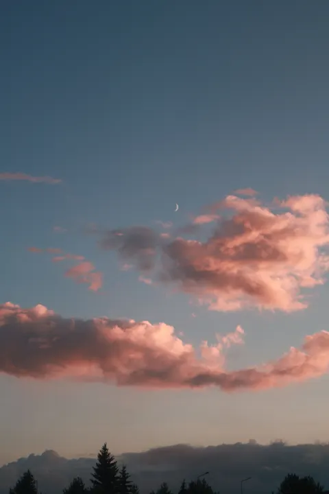 Aesthetic Mood Phone Wallpaper · aesthetic · 1440×2160