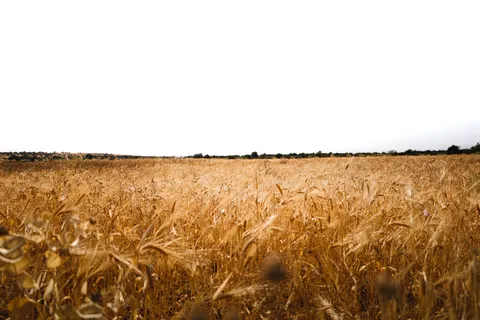 خلفية طبيعة بدقة 4K · nature · 3840×2560