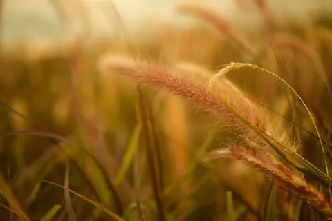 Обои Природа 4K · nature · 3840×2560