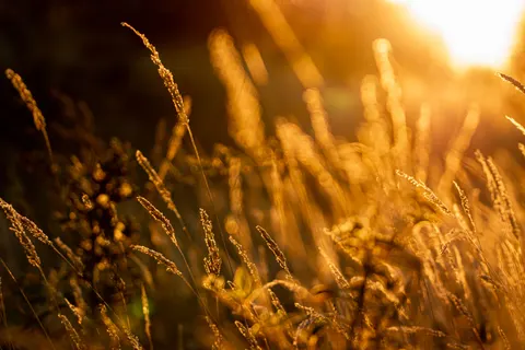 Natur 4K Hintergrundbild · nature · 3840×2560