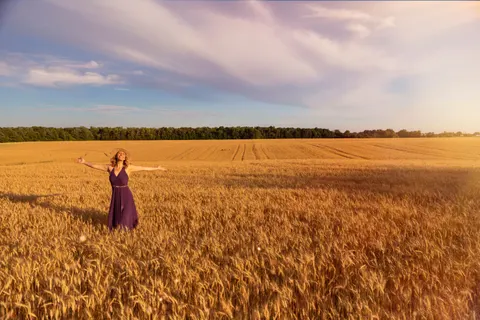 Wheat Field 4K Wallpaper · nature · 3840×2560