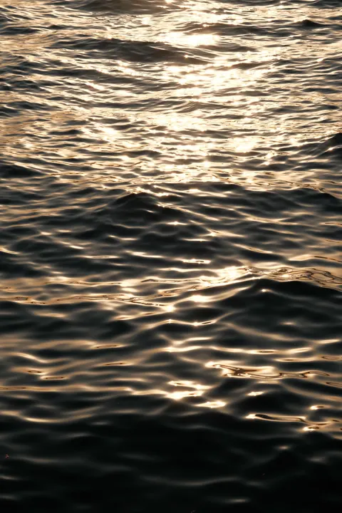 Golden Hour Phone Wallpaper · aesthetic · 1440×2160
