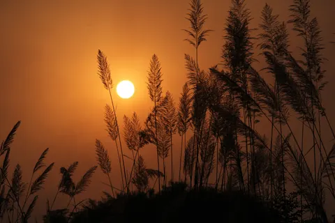 Fondo de pantalla Naturaleza 4K · nature · 3840×2560
