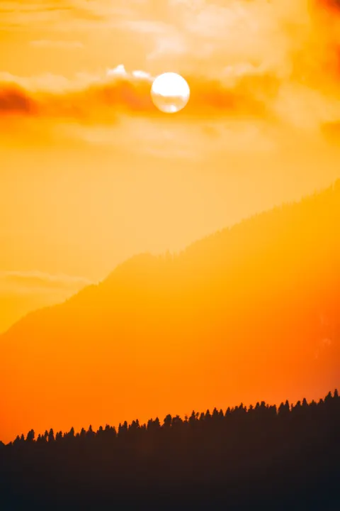 Golden Hour Phone Wallpaper · aesthetic · 1440×2160