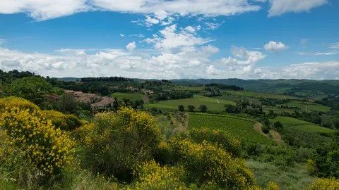 Vineyard Hills 4K Wallpaper · nature · 3840×2160