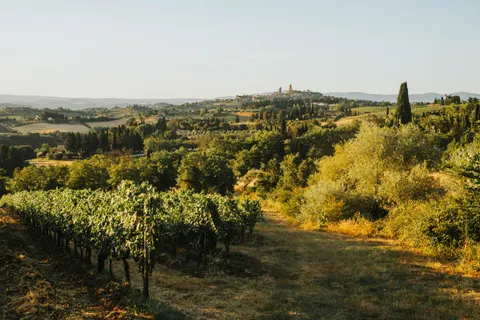 Vineyard Hills 4K Wallpaper · nature · 3840×2560