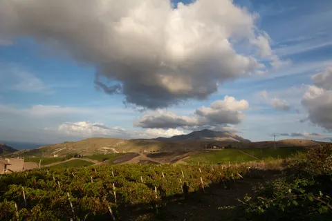 Vineyard Hills 4K Wallpaper · nature · 3840×2560