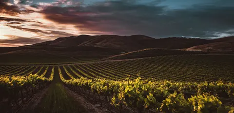 Fondo de pantalla Naturaleza 4K · nature · 3840×1855