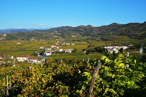 Vineyard Hills 4K Wallpaper · nature · 3840×2560