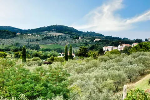 Vineyard Hills 4K Wallpaper · nature · 3840×2560