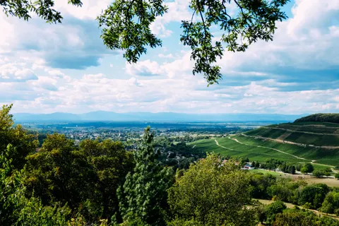 Vineyard Hills 4K Wallpaper · nature · 3840×2560