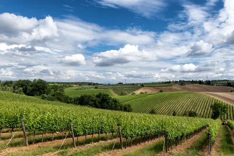 Vineyard Hills 4K Wallpaper · nature · 3840×2563