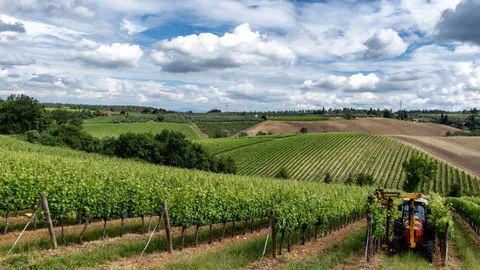 Vineyard Hills 4K Wallpaper · nature · 3840×2160