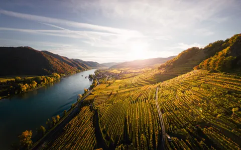 Vineyard Hills 4K Wallpaper · nature · 3840×2400